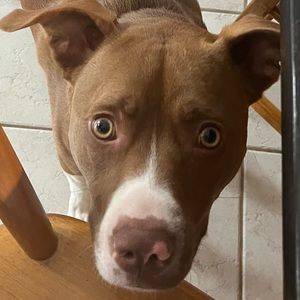 Meet your Posher, Liv